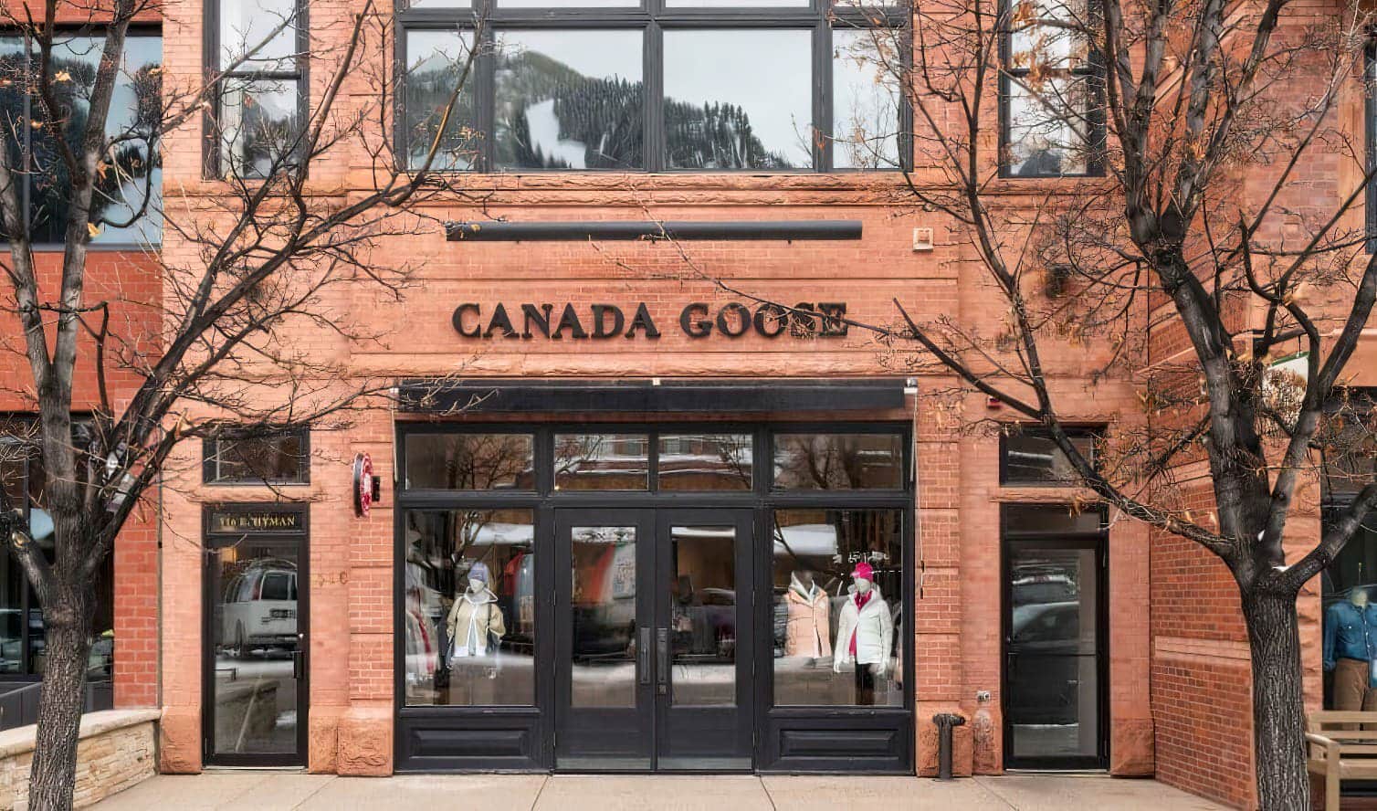 Canada Goose, Aspen - East Hyman Avenue Canada Goose, Aspen - East Hyman Avenue